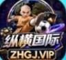 纵横国际